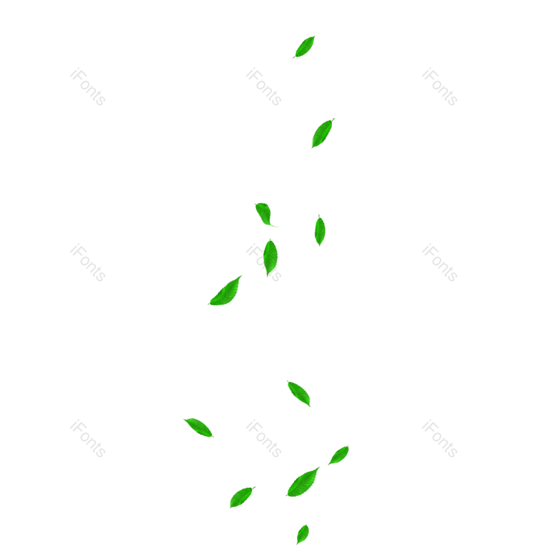 叶子图片,夏天元素,绿叶PNG,树叶免抠素材